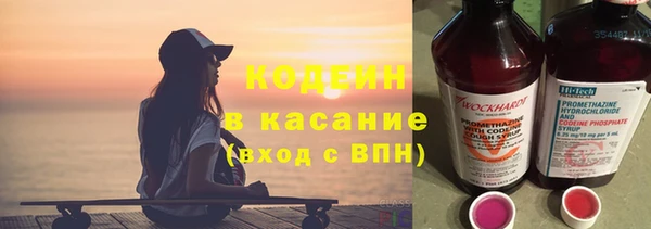 дурь Вяземский